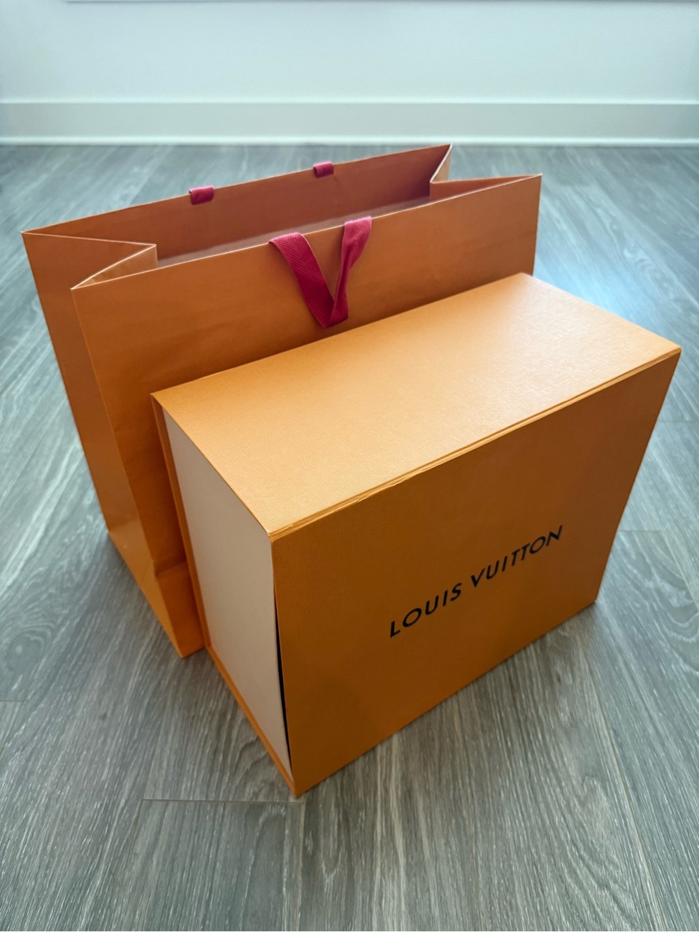 Louis Vuitton Gift Bag and Storage Boxes with ribbons - Picture 15 of 16
